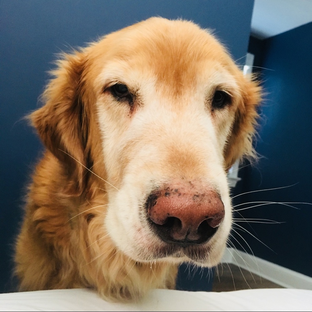 Meet your Posher, Jiajia